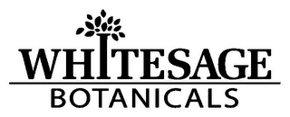 WHITESAGE BOTANICALS logo