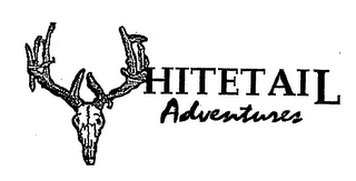 WHITETAIL ADVENTURES logo