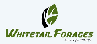 WHITETAIL FORAGES SCIENCE FOR WILDLIFE logo