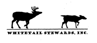 WHITETAIL STEWARDS, INC. logo