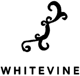 WHITEVINE logo