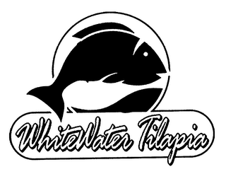 WHITEWATER TILAPIA logo