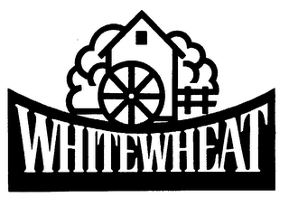 WHITEWHEAT logo