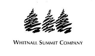 WHITNALL SUMMIT COMPANY logo
