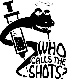 WHO CALLS THE SHOTS? logo