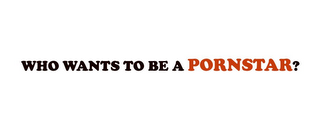 WHO WANTS TO BE A PORNSTAR? logo