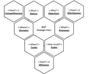 WHO? WHERE? WHAT? WHY? WHEN? HOW MUCH? HOW? 1 2 3 BM2 STRATEGIC VIEW COMPETITIVENESS EFFECTIVENESS EFFICIENCY NATURE DOMAINS PROCESSES OBJECTIVES CYCLES SCALES logo