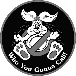 WHO YOU GONNA CALL! logo