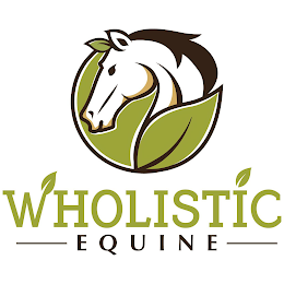 WHOLISTIC EQUINE logo