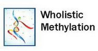 WHOLISTIC METHYLATION logo