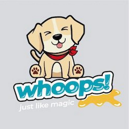 WHOOPS! JUST LIKE MAGIC logo