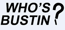 WHO'S BUSTIN ? logo