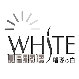 WHSTE UPDATE logo