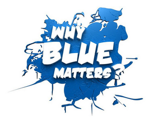 WHY BLUE MATTERS? logo