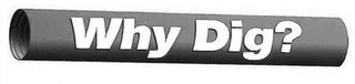 WHY DIG? logo