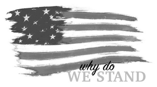 WHY DO WE STAND logo
