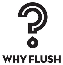 WHY FLUSH logo