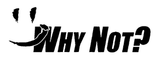 WHY NOT? logo