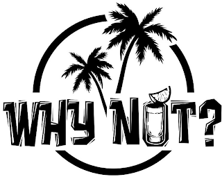 WHY NOT? logo