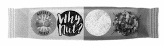 WHY NUT? NATURE'S ENERGY logo