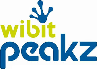 WIBIT PEAKZ logo