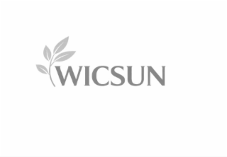 WICSUN logo