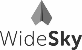 WIDESKY logo