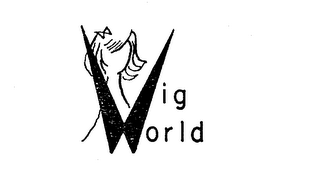 WIG WORLD logo