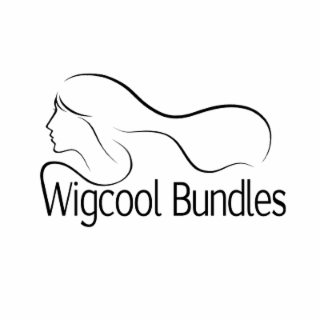 WIGCOOL BUNDLES logo