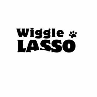 WIGGLE LASSO logo