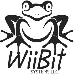 WIIBIT SYSTEMS LLC logo