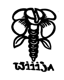 WIIIJA logo