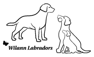 WILANN LABRADORS logo