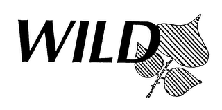 WILD logo