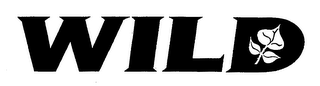 WILD logo