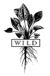 WILD logo