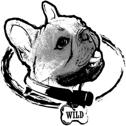 WILD logo