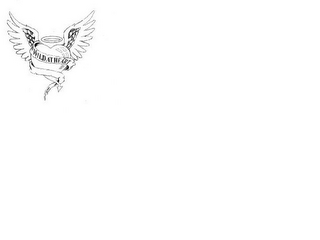 WILD AT HEART logo