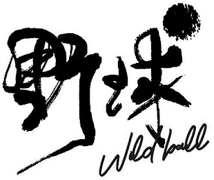 WILD BALL logo