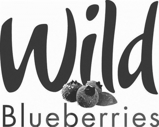 WILD BLUEBERRIES logo