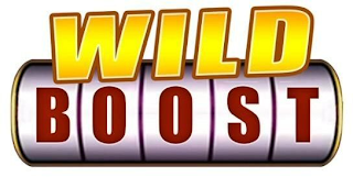 WILD BOOST logo