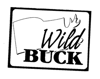 WILD BUCK logo