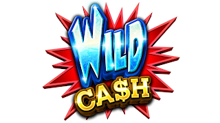 WILD CA$H logo