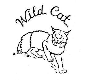 WILD CAT logo