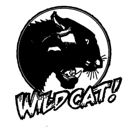 WILD CAT! logo