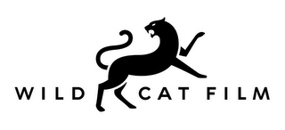WILD CAT FILM logo