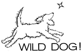 WILD DOG! logo