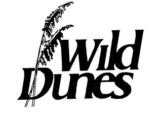 WILD DUNES logo