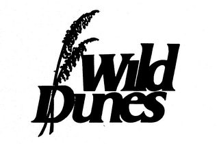 WILD DUNES logo
