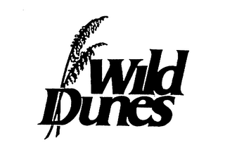 WILD DUNES logo